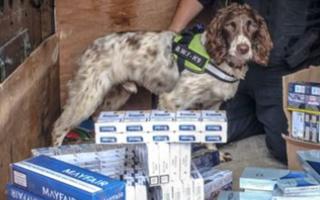 A dog was used to sniff out the illegal smokes