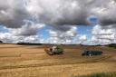 Harvest under way at Aldebourne by Clive Alexander