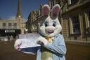 Complete with little Easter eggs this giant bunny launches Trowbridge Chamber's Easter Trail.