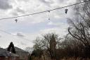 Shoes dangling from a powerline in Holt. Picture by Glenn Phillips