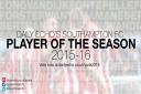 Vote for your Southampton FC player of the season 2015/16