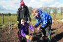 Three youngsters from the 1st Chiseldon Cubs planting trees in a bid to boost the numbers of tree sparrows in the area