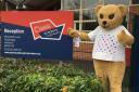 Pudsey led fundraising at Longmeadow Primary School
