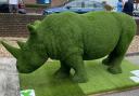 Green rhino in Melksham. Photo: Melksham Town Council.