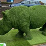 Green rhino in Melksham. Photo: Melksham Town Council.