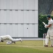 Chippenham county cricket survive relegation on final day of the season