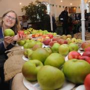 Trowbridge Apple Festival organiser Mel Jacob with some of the vast selection of apples on show.