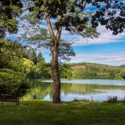 Shearwater Lake near Warminster is a popular Wiltshire beauty spot