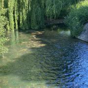 The council says nutrient neutrality is needed in four catchment areas - the Hampshire Avon, River Test and the River Lambourn and the Somerset Levels and Moors.