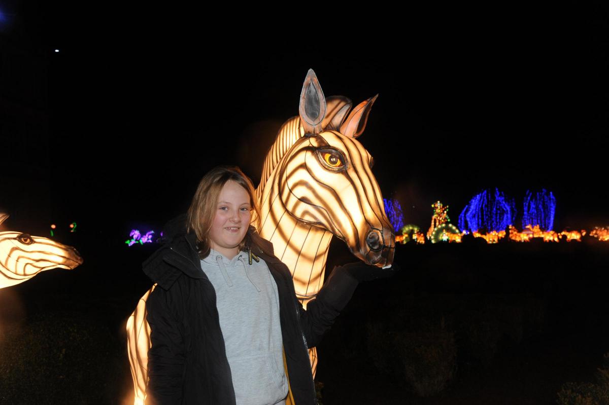 Festival of Light pictures at Longleat 