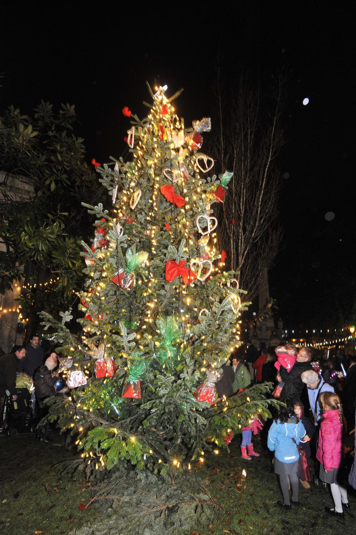 Bradford on Avon Christmas lights switch-on. Pictures by Glenn Phillips