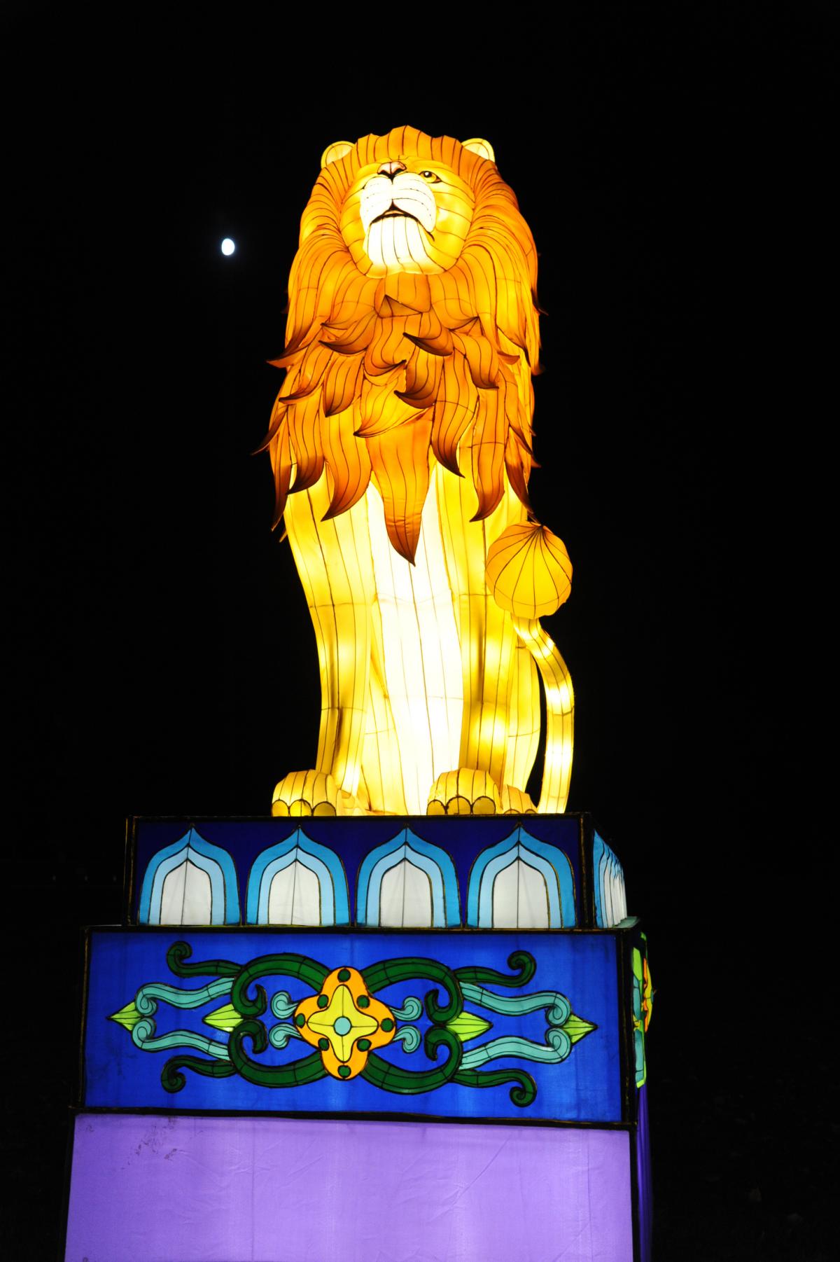 Giant lion lanterns  at Longleat Festival of Light  50 years of the safari park. Picture by Trevor Porter