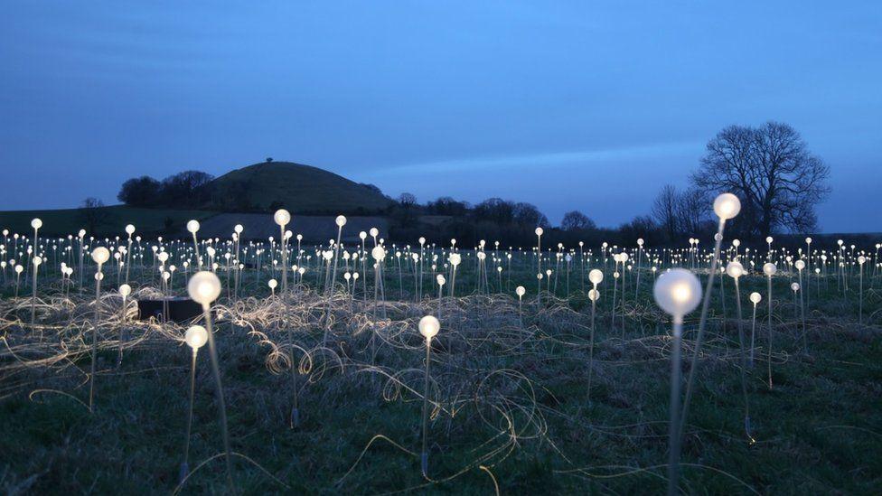Field of Light tribute near Warminster to 100,000 Covid victims 