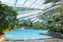 The Sub-tropical Swimming Paradise indoor pool at Center Parcs Longleat Forest