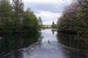 Manningford Trout Fishery