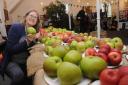 Trowbridge Apple Festival organiser Mel Jacob with some of the vast selection of apples on show.