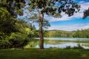 Shearwater Lake near Warminster is a popular Wiltshire beauty spot