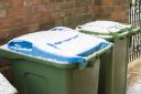 Some garden waste was not collected due to frozen bins