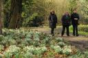 Visitors admire the snowdrops at Great Chalfield Manor open gardens.