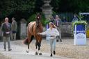 Ros Canter, the 2023 Badminton winner, trots up Izilot DHI at the first horse inspection in front of Badminton House