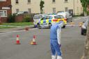 Forensics sweep the area following Trowbridge stabbing. Photo by Trevor Porter.