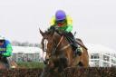 Jockey Ruby Walsh rides Kauto Star to an historic win in the Cheltenham Gold Cup