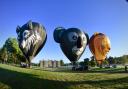The wolf, koala and cheetah hot air balloons that will be taking part in the Longleat Sky Safari Festival in September. Photo: Longleat