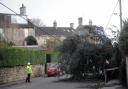 A fallen tree damages a power line in Frome Road, Bradford on Avon, during Storm Eunice Photo: Trevor Porter 67878-2