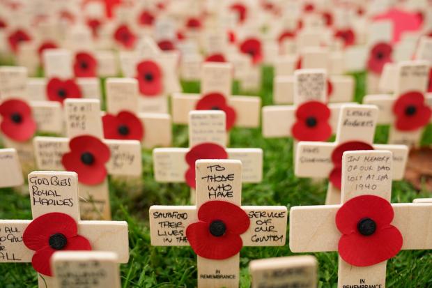 Wiltshire Times: Messages written on planted tributes during the official opening of the 2021 Royal British Legion Field of Remembrance at the National Memorial Arboretum in Alrewas, Staffordshire. Credit: PA