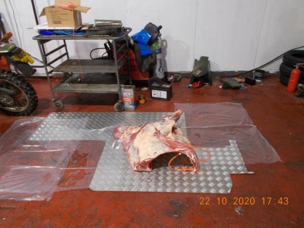 Wiltshire Times: Photos of illicit meat taken provided by Wiltshire Council