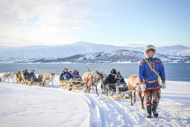 Wiltshire Times: Reindeer Sledding Experience and Sami Culture Tour from Tromso - Tromso, Norway. Credit: TripAdvisor