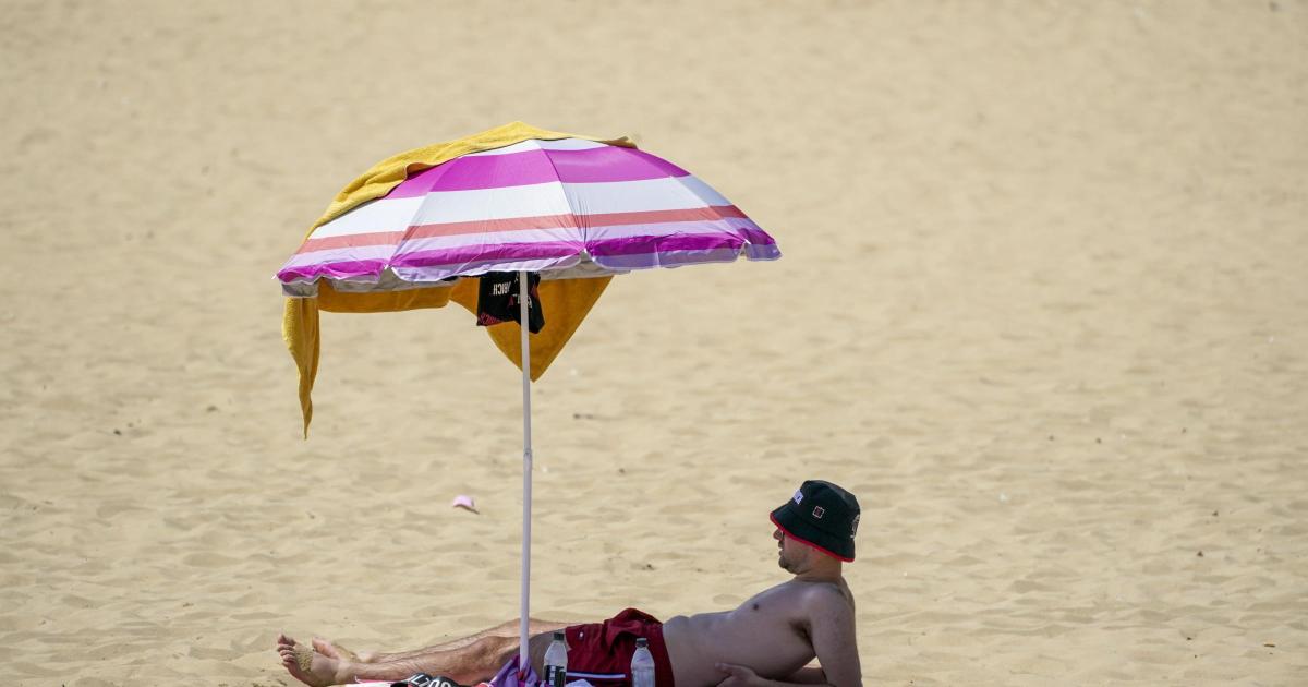 LIVE: UK records 'highest ever' temperature as heatwave scorches country - Vimarsana News