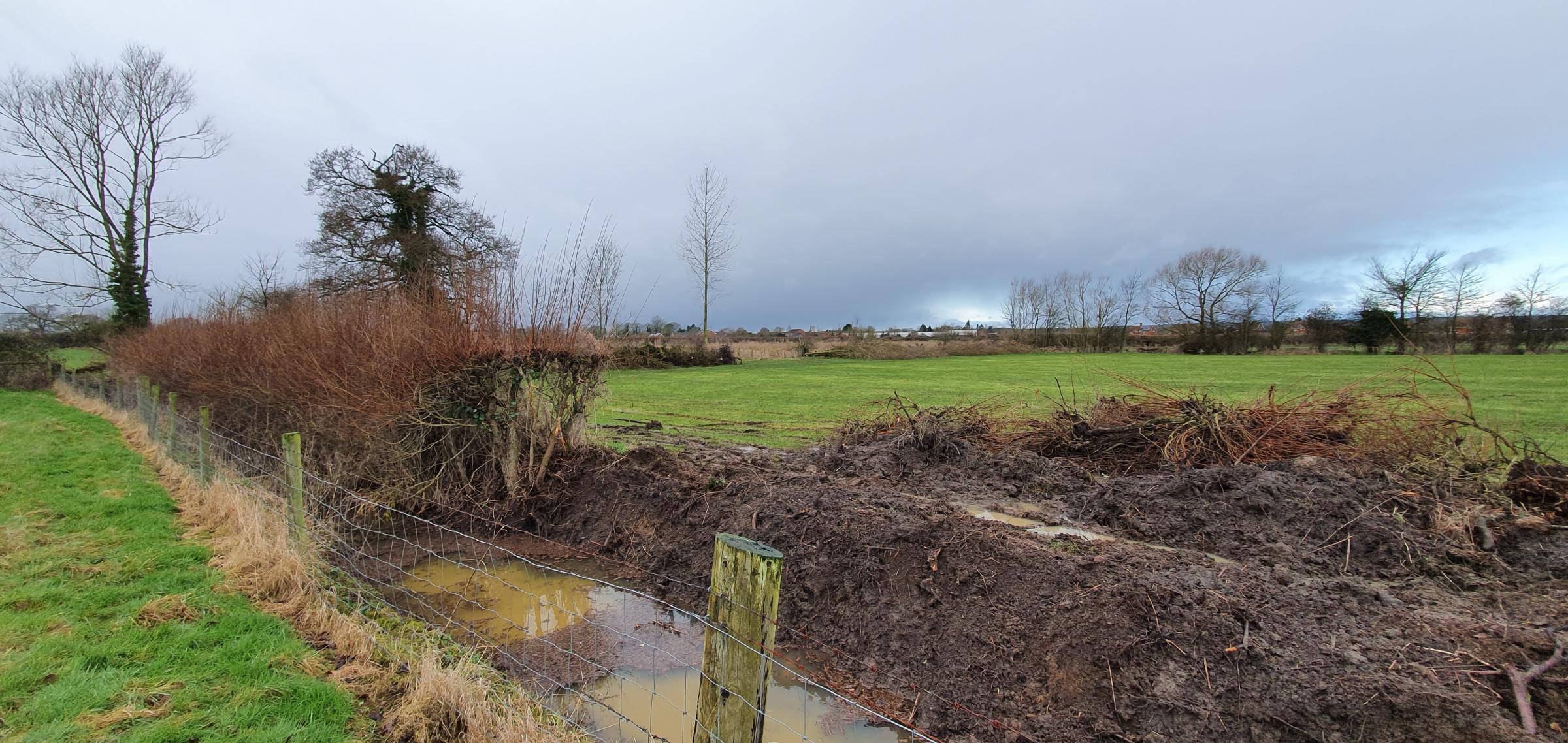 Farm 'looks like the Somme' after neighbour destroys hedge - Vimarsana News