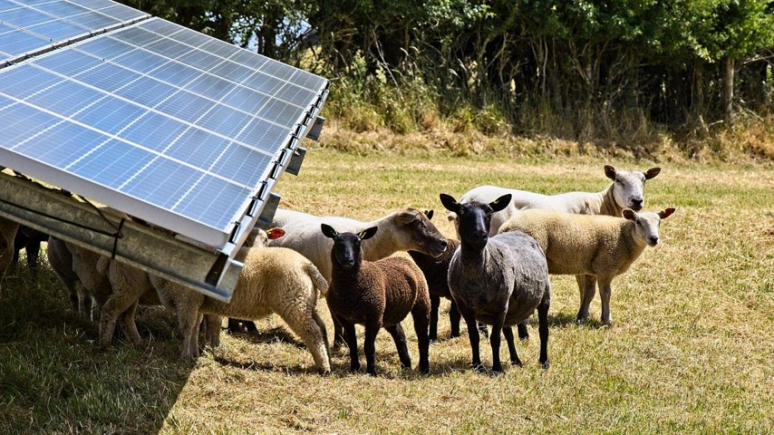 Red Barn Solar Farm plans near M4 in Wiltshire submitted 