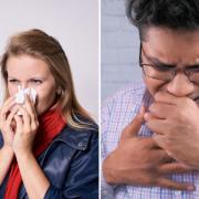 How to tell the difference between Covid-19 and hay fever. (Canva)
