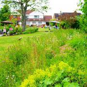 Residents in Freshford and Limpley Stoke are being urged to take part in the open gardens scheme in June