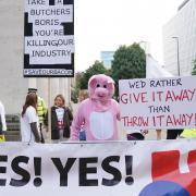 Pig farmers protesting outside the Conservative Party Conference in Manchester. Picture date: Monday October 4, 2021. PA Photo. Nick Allen, chief executive of the British Meat Processors Association, has said he was 