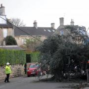 A fallen tree damages a power line in Frome Road, Bradford on Avon, during Storm Eunice Photo: Trevor Porter 67878-2