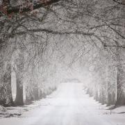 Will it snow in Wiltshire this week? Here’s what the BBC and Met Office say (Canva)