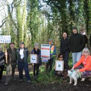 Campaigners trying save ash trees at the footpath at Becky Addy Wood in Upper Westwood. Photo: Trevor Porter 67923-2