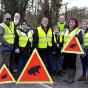 The Smallbrook Toad Patrol in Warminster are trying to save thousands of amphibians from slaughter