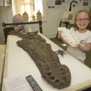 Caitlynne Lane, aged eight, takes a look at the jaw bone of the prehistoric sea monster. Photo: Trevor Porter 69218-2