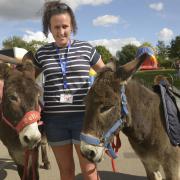 Lora Wilson with the donkeys  at the Bowerhill Festival. Photo: Trevor Porter 69319-6