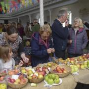 Tasting time at Trowbridge Apple Festival with 67 different varieties from which to choose. Photo: Trevor Porter 69357 -