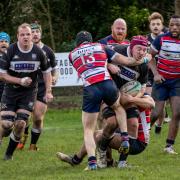 A tough tackle during Devizes' 17-14 defeat to Newbury Blues in Regional Two South Central last weekend        Photo: Devizes RFC
