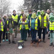 Smallbrook Toad Patrol is trying to save the lives of hundreds of toads crossing the road to their ancestral breeding ponds