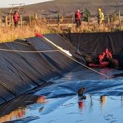 Fire and rescue crews help the RSPCA to rescue the fox from the farm slurry lagoon.