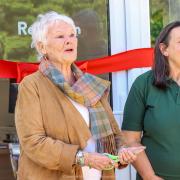 Dame Judi Dench visits Wiltshire Wildlife Hospital