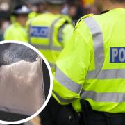 Six are suspected of supplying cocaine among other offences