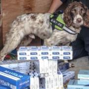 A dog was used to sniff out the illegal smokes